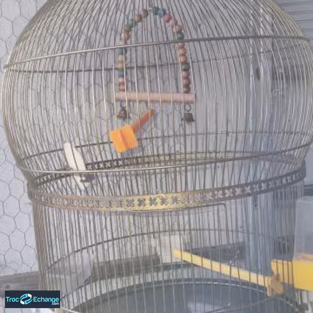 2 Cages