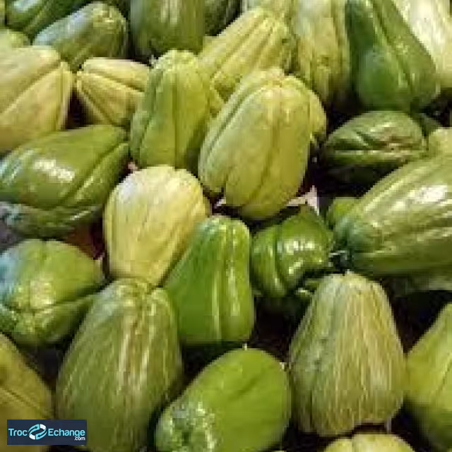 Chayottes ou christophines 10 kgs