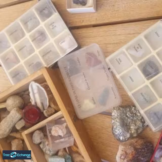Une collection de pierres 