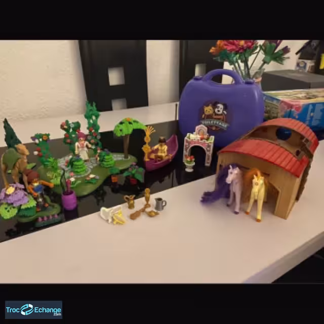 Photo miniature 2